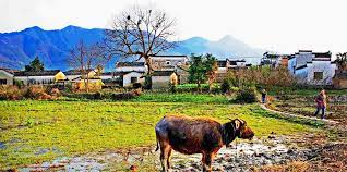 Guanlu Village 